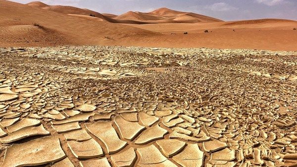 الحرارة تكبد أفريقيا خسائر فادحة