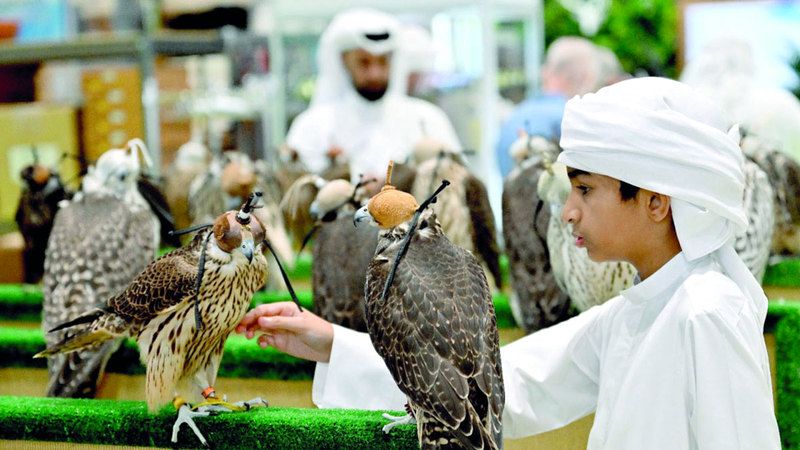 الامارات | صقّار المستقبل.. على الدرب