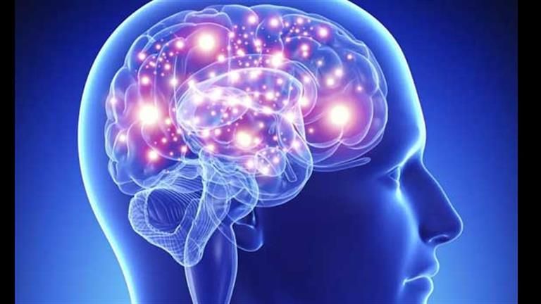 تدمر دماغك.. أنواع أطعمة ومشروبات تضعف الذاكرة وتؤثر على المخ