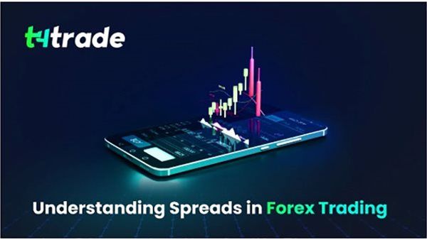 فهم الفروق السعرية في تداول الفوركس