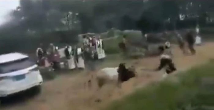 الخليج اليوم .. شاهد.. هجوم ثور هائج على المعازيم في حفل زفاف باليمن
