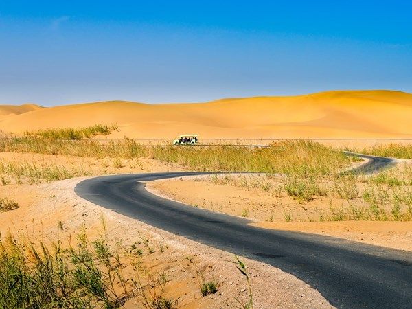 إنجاز الحزام الأخضر لأكبر صحراء في الصين