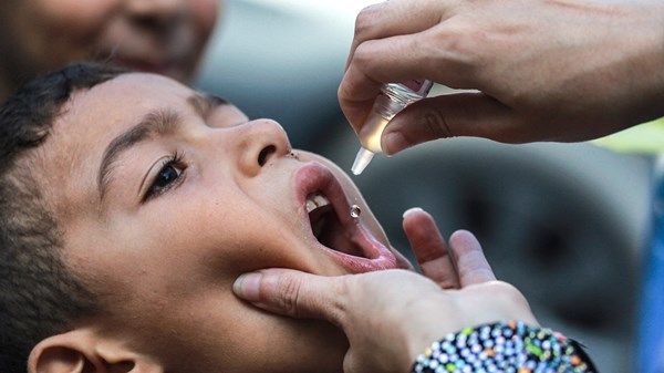 استمرار حملة التطعيم ضد شلل الأطفال في قطاع غزة