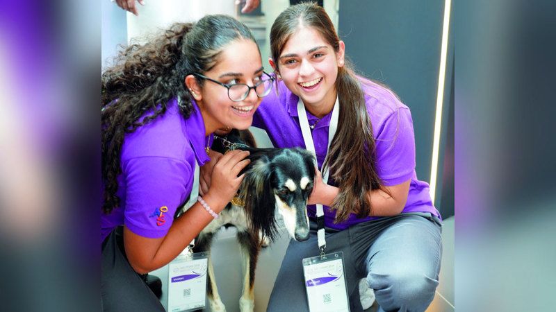 الامارات | «السلوقي العربي» نجم يستقطب زوّار «الصيد والفروسية»