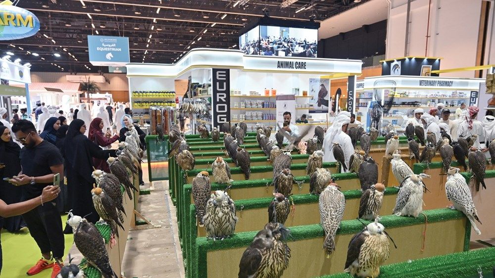 المعرض الدولي للصيد والفروسية يختتم فعالياته مساء اليوم