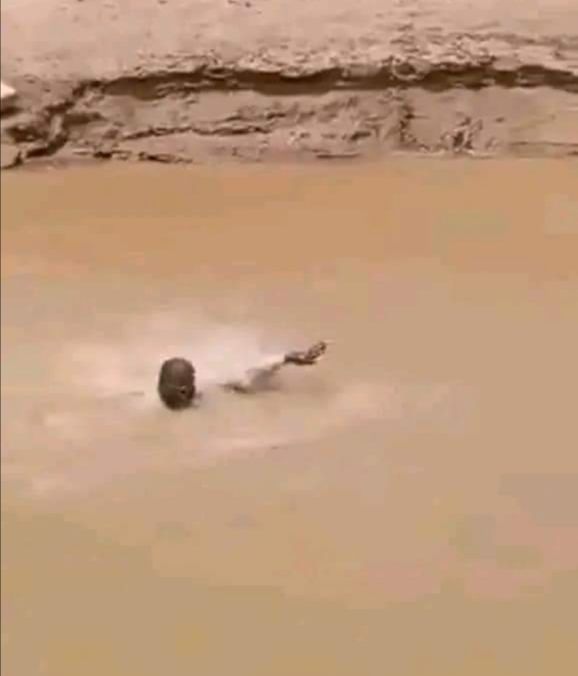 فلنذهب إلى طوكر!