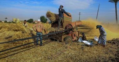 برلمانى فى عيد الفلاح الـ72: المزارع المصرى أحد أعمدة التنمية وثروة قومية