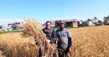 برلمانية: الدولة تولى الفلاح والقطاع الزراعى اهتماما غير مسبوق تقديرا لمسيرته