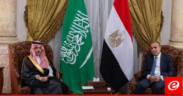 وزير الخارجية المصري: أكدت مع نظيري السعودي اهمية الوقف الفوري للعدوان الإسرائيلي بشكل غير مشروط