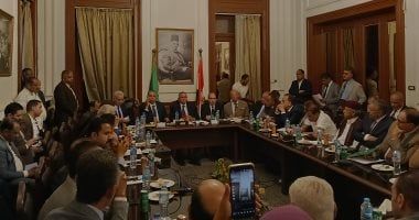 تشريعية الوفد: "الإجراءات الجنائية" يهم أطراف الحقوق والحريات وليس المتهم