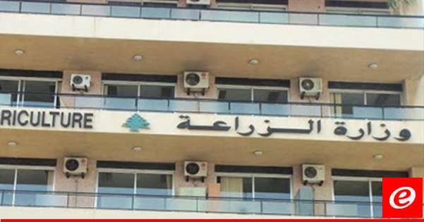 وزارة الزراعة أكدت متابعتها لقضية شبل الأسد: تم نقله إلى إحدى الحدائق المعتمدة والمسجلة لدى الوزارة وتوقيف الفاعل