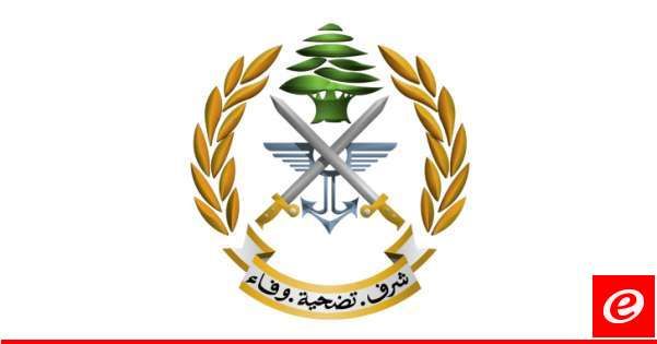 الجيش كشف تفاصيل عملية تحرير 8 فلسطينيين بعد خطفهم: توقيف مواطن ينتمي لعصابة ونقلهم للبقاع
