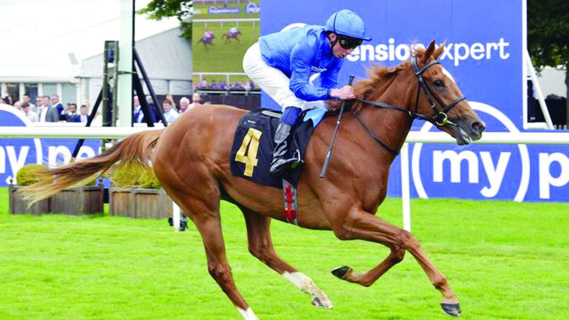 الامارات | مهرة «غودولفين» غير المهزومة تطلب لقب  «ماي هيل ستيكس»