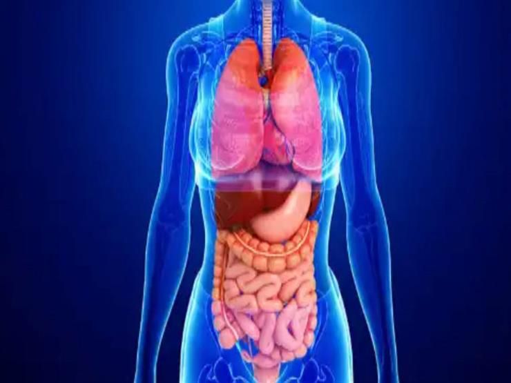 5 أعضاء في الجسم أصغر من عمرك الحقيقي.. لن تتوقع