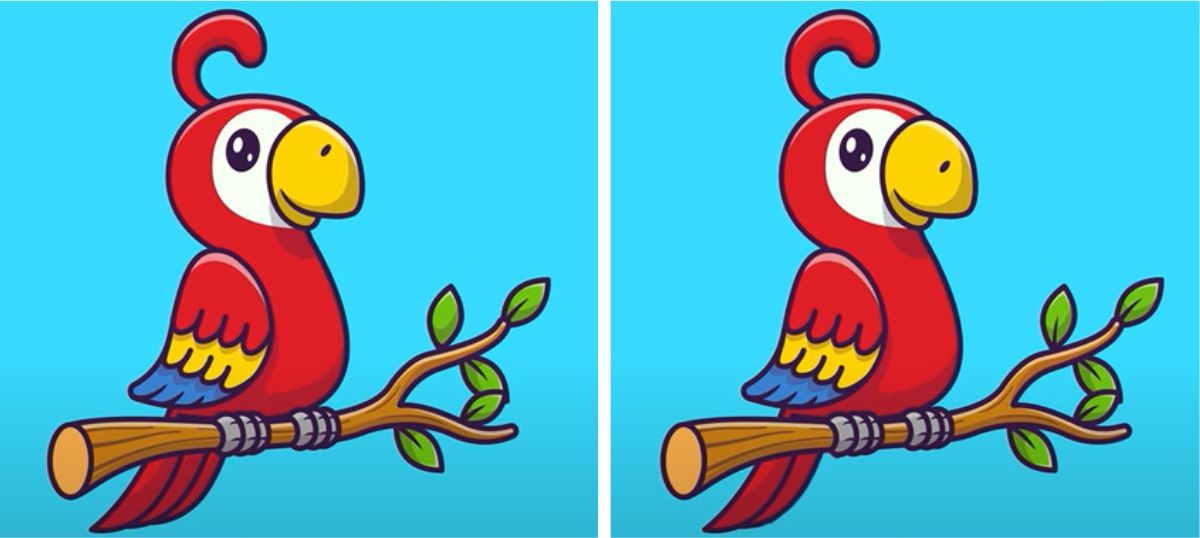 لأصحاب عيون النسر.. أوجد 3 اختلافات بين صورتي الببغاء خلال 8 ثوان