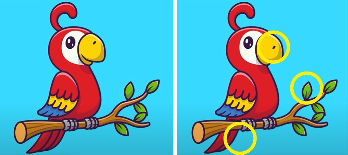 لأصحاب عيون النسر.. أوجد 3 اختلافات بين صورتي الببغاء خلال 8 ثوان