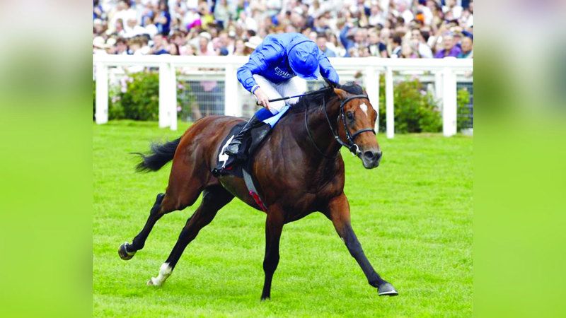 الامارات | خيول «غودولفين» تطارد ألقاب سباقات الفئة الأولى في كندا