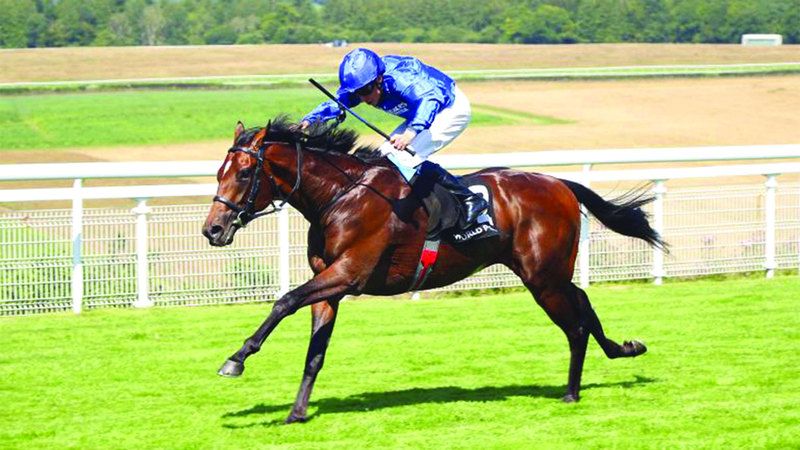 الامارات | «غودولفين» يطلب لقب «فنسنت أوبراين ناشيونال سيتكس» الإيرلندي