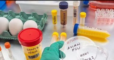 تطوير اختبارات أنفلونزا الطيور مع ارتفاع الحالات البشرية خوفا من تحور الفيروس