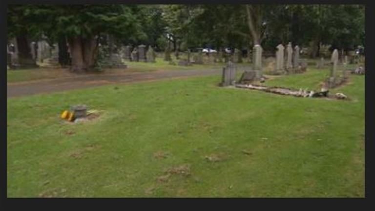 صدمة.. لن تتوقع ما وجدته امرأة في حديقة منزلها - 10 صور تكشف