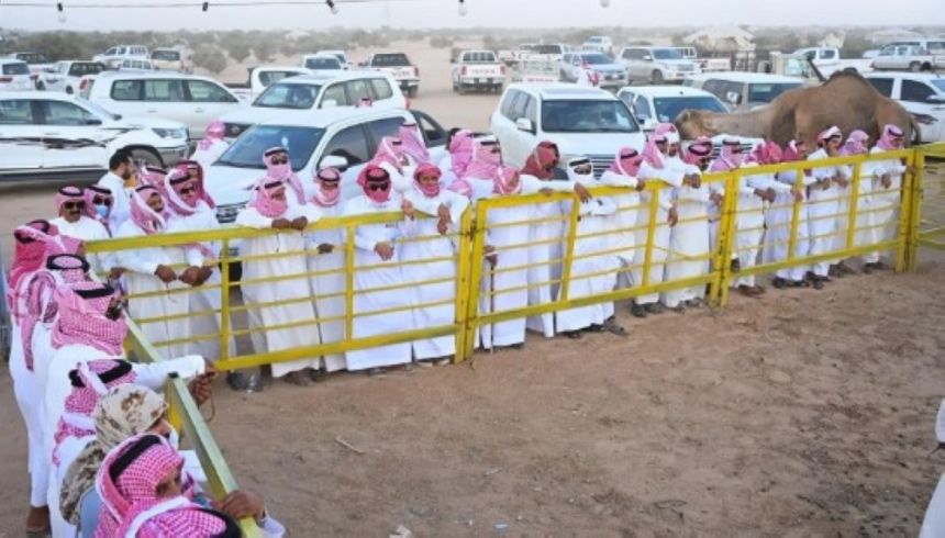 مهرجان جادة الإبل يحقق مبيعات بأكثر من 30 مليون ريال