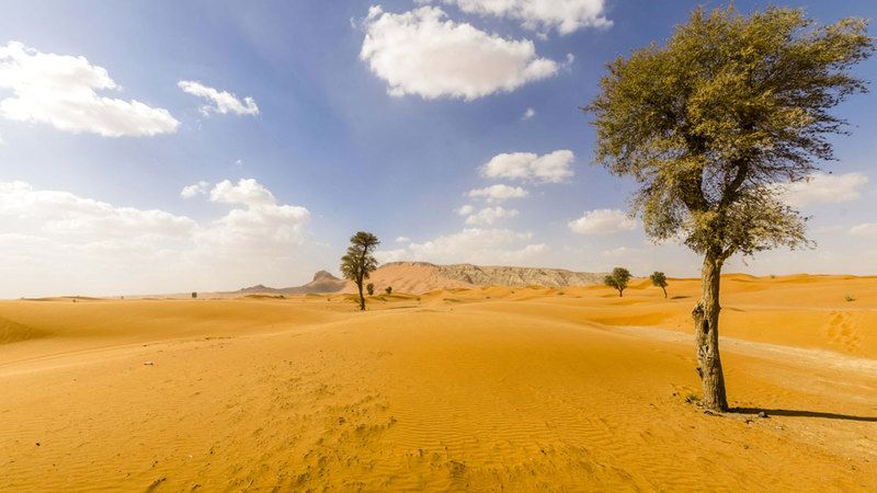 الامارات | "فلكية جدة": اليوم نهاية فصل الصيف