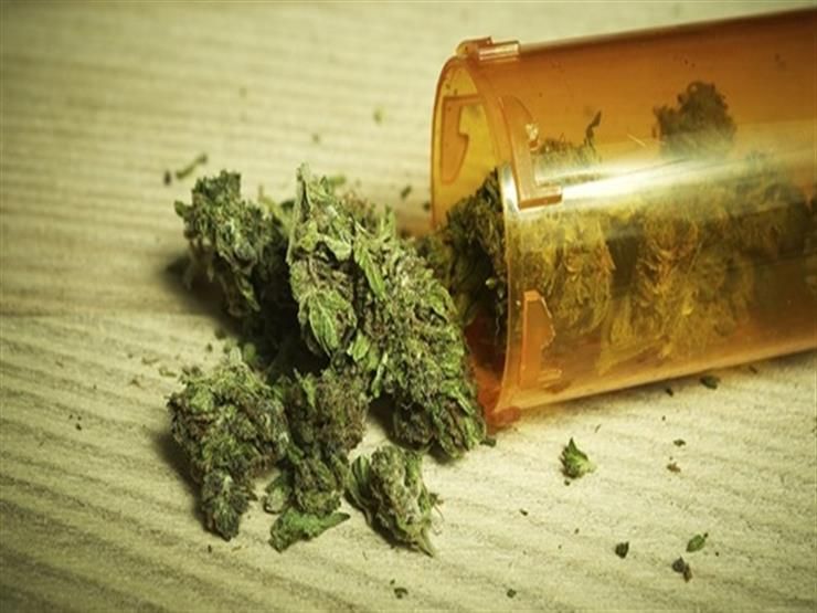 بميزان حساس وأستروكس.. الداخلية تضبط معلمين الكيف في المعادي