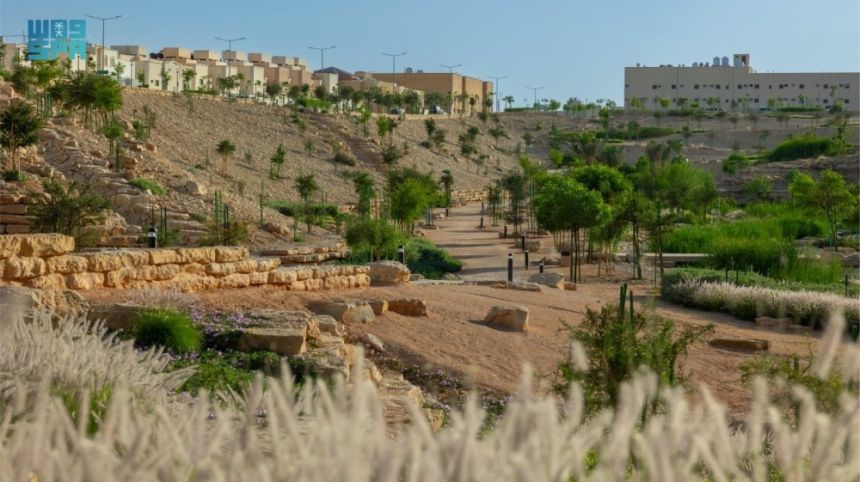 الرياض الخضراء.. افتتاح "شعيب غذوانة" بعد تأهيله وتشجيره