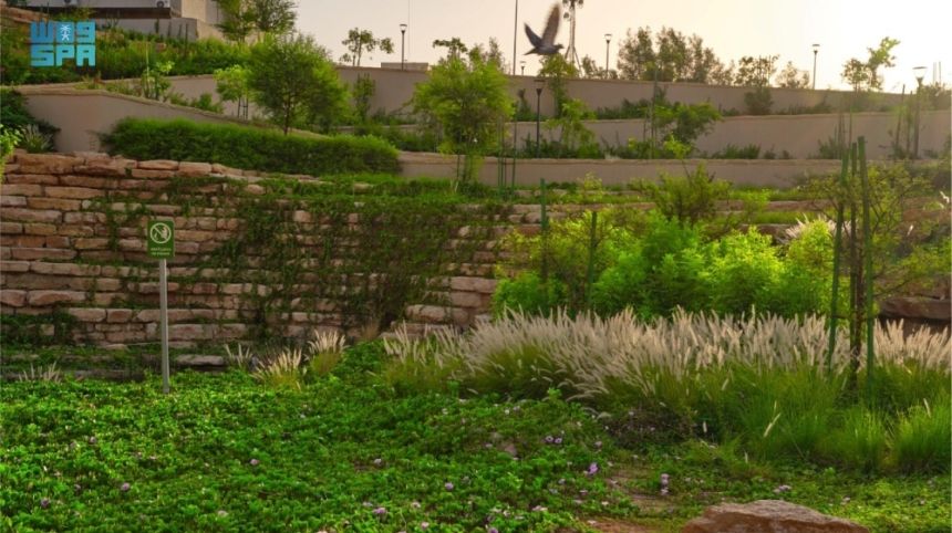 الرياض الخضراء.. افتتاح "شعيب غذوانة" بعد تأهيله وتشجيره