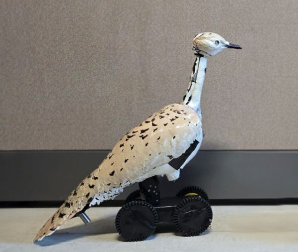 «حوبوت» أول روبوت للحبارى مدعوم بالذكاء الاصطناعي