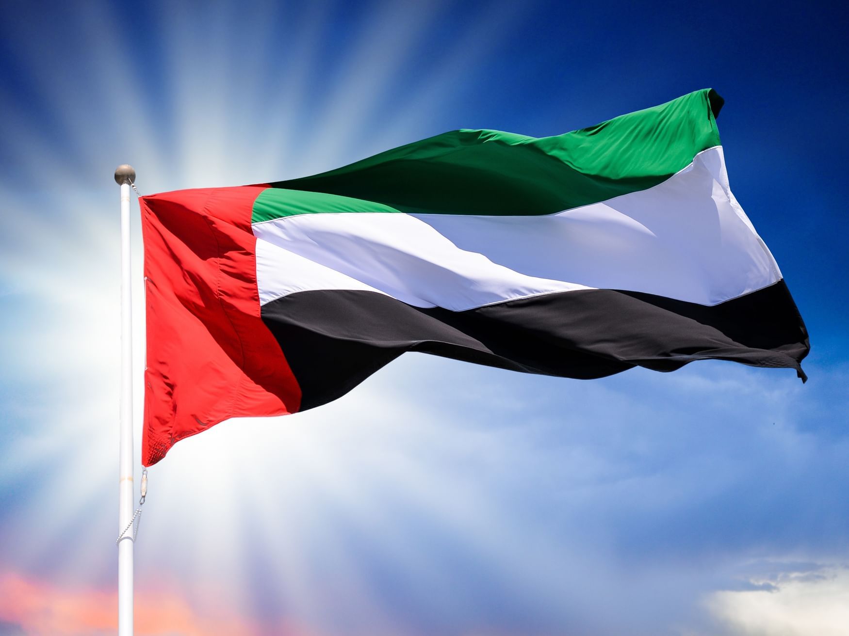 الامارات | الإمارات تدعم القطاع الصحي في غزة بالمستلزمات الطبية الضرورية بالتنسيق مع منظمة الصحة العالمية