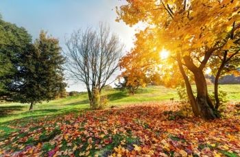 اليوم الوطني 94.. قانونيون: القضاء والعدل في المملكة ركيزة أساسية منذ التأسيس