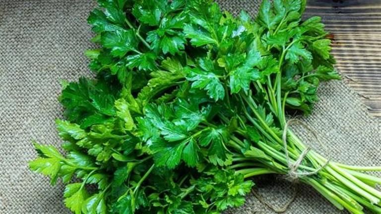 لن تصدق ما يفعله البقدونس بكليتيك.. مفاجأة