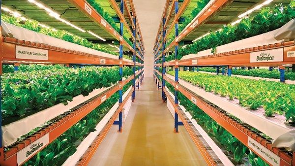 الإمارات وأميركا.. تعزيز الأمن الغذائي