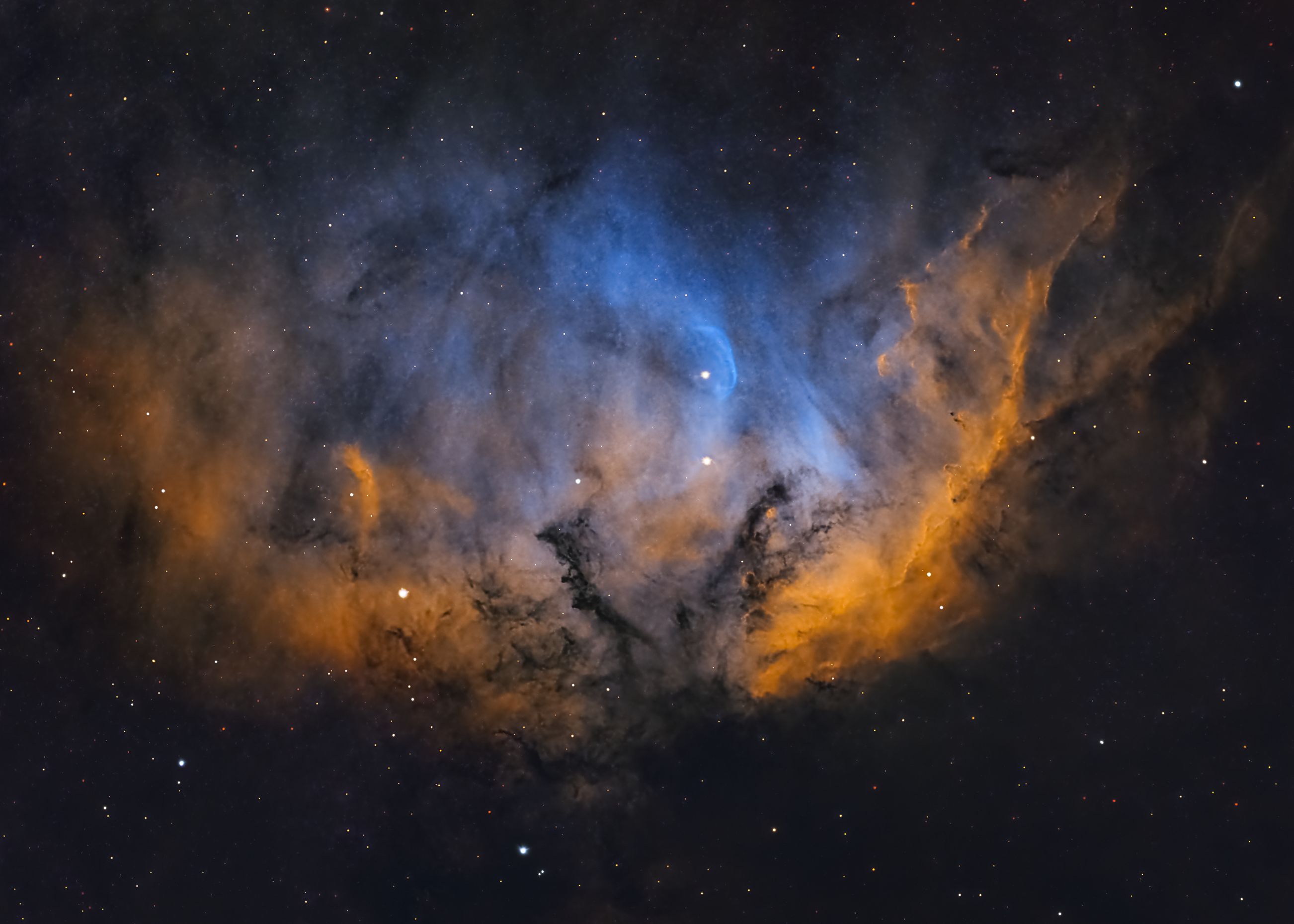 الامارات | تصوير سديم "زهرة التوليب" من سماء الإمارات