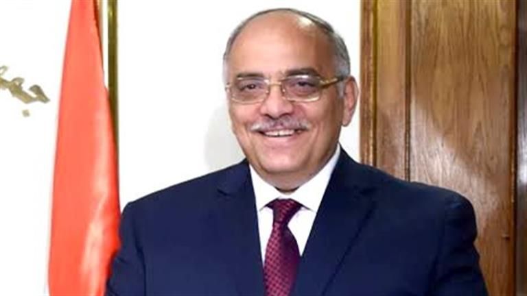 بروتوكول علاج.. آخر مستجدات أزمة "النزلات المعوية" في أسوان