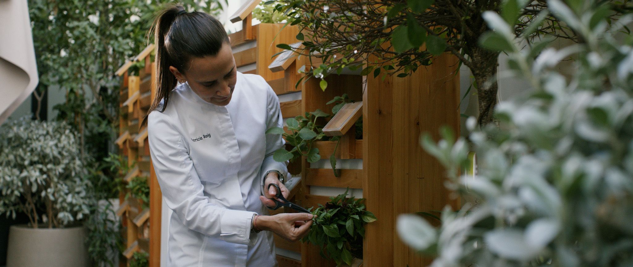 الامارات | تحويل الصحراء إلى أرض خصبة.. قصة إماراتية ملهمة في الزراعة الذكية