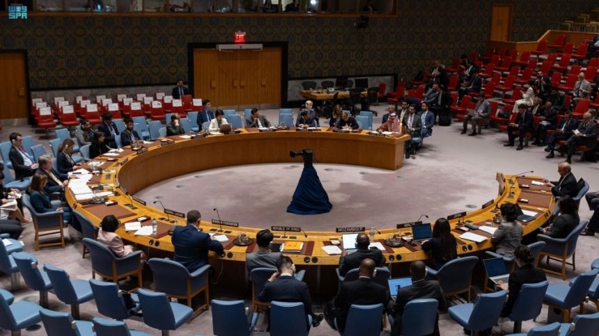 وزير الخارجية: إصلاح مجلس الأمن ضرورة ملحّة