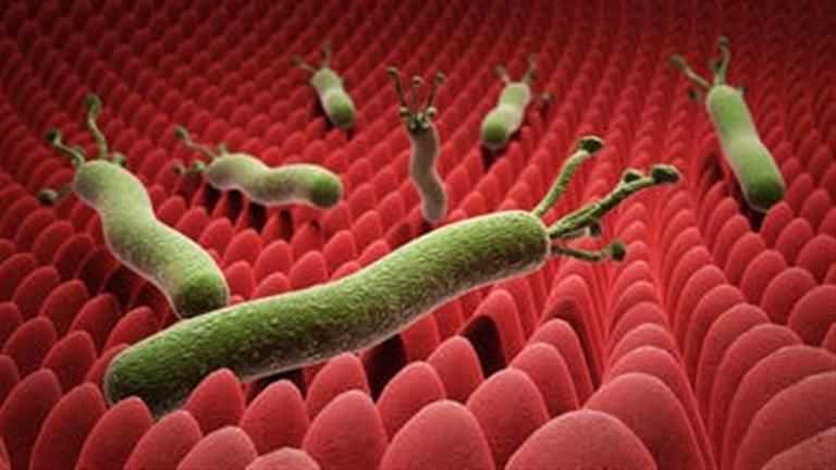 هل تعاني من هذه الأعراض؟.. 3 علامات تكشف إصابتك بجرثومة المعدة