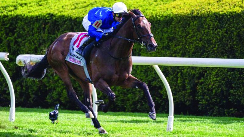 الامارات | جياد «غودولفين» تطارد ألقاب «الفئة الأولى» في 3 قارات