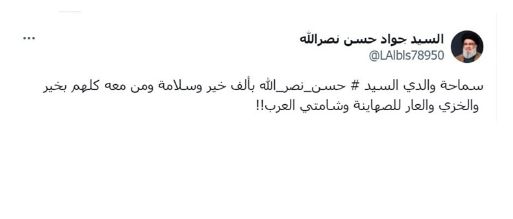 حساب منسوب لنجل حسن نصر الله: والدى بخير