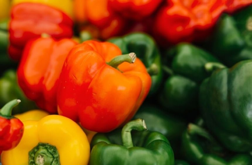 "الزراعة": الفرز والتعبئة عمليات حيوية لرفع جودة محصول الفلفل