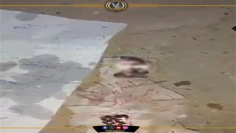 بعد واقعة "تُربي" البساتين ومؤمن زكريا.. كيف يُعاقب القانون أعمال السحر والدجل؟