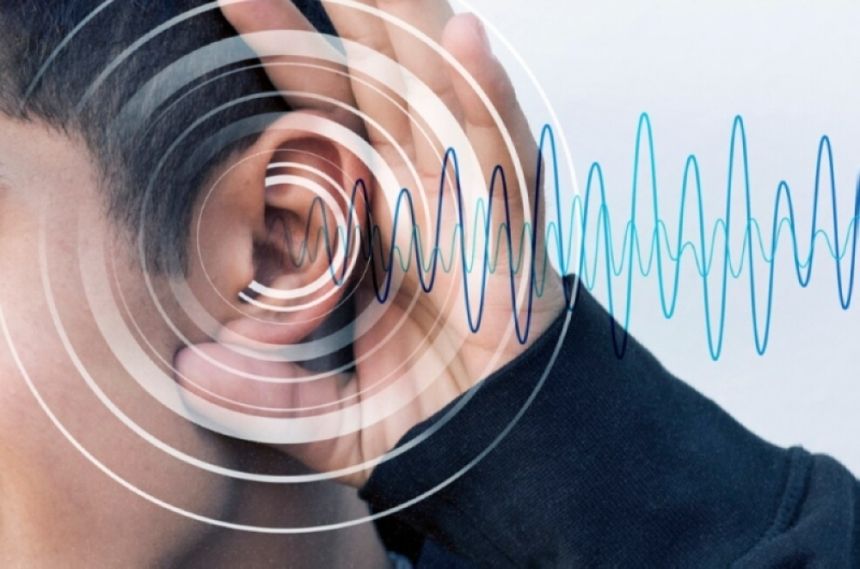 المملكة تجري 288 عملية زراعة قوقعة بالنصف الأول من 2024