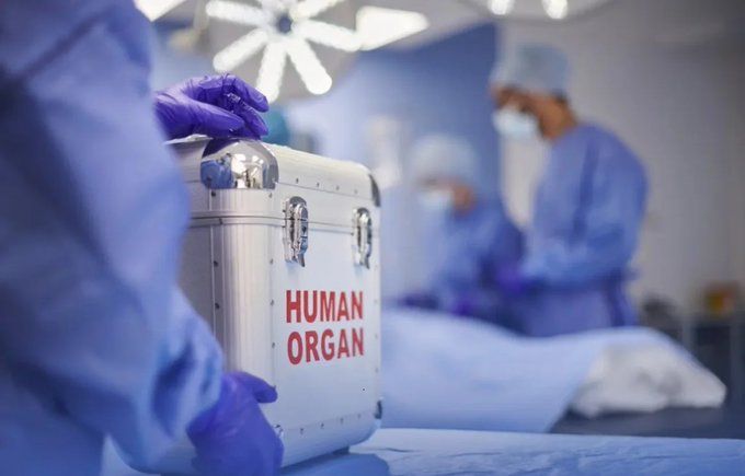 أعضاء متوفى تُنقذ حياة مريضَيْ كُلى بجدة