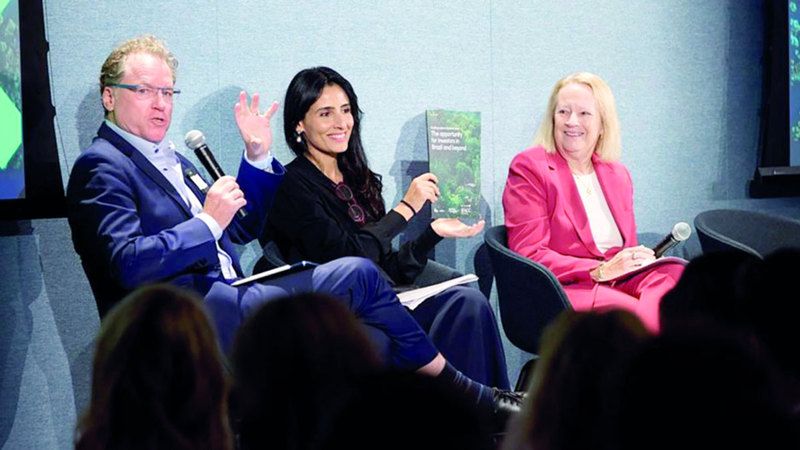 الامارات | «COP29».. دعوة لتسريع الإيفاء بتعهدات  «اتفاق الإمارات» التاريخي