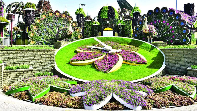 الامارات | «دبي ميراكل» تعود بلوحة مرسومة بـ 150 مليون زهرة