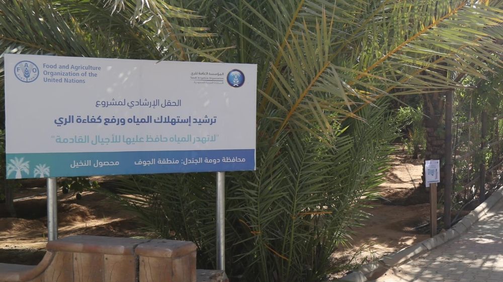 "الري" و"الفاو" تنظمان جلسة تعريفية بتقنيات الري الحديثة في دومة الجندل 