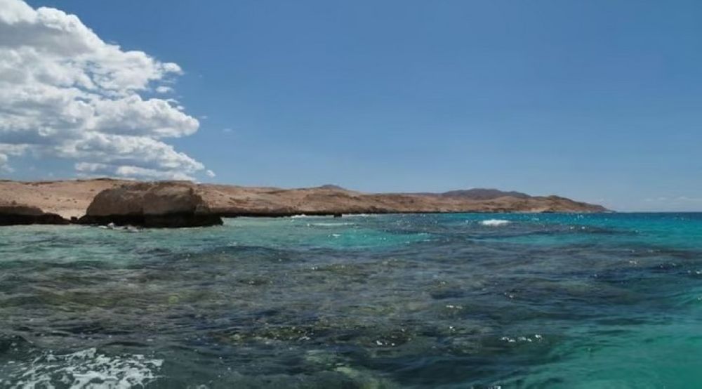 "الجيولوجية السعودية" تكشف تفاصيل أكبر الجزر السعودية في الخليج العربي