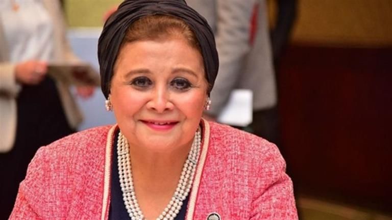 بالأرقام.. نائبة وزير الصحة تكشف نسب وفيات الرضع وأنيميا الحمل